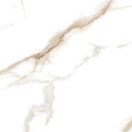 SILVER TRACE
