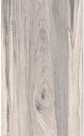 FOREST SAND