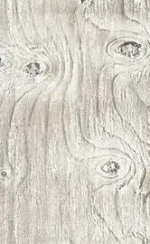 ASHENWOOD