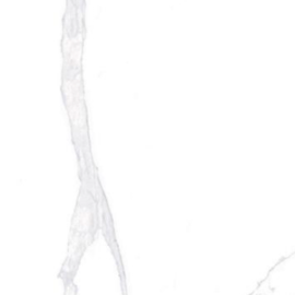 POLARIS WHITE