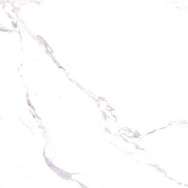 POLARIS WHITE