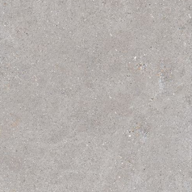 SHELL DOVE