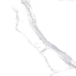 POLARIS WHITE