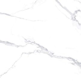 POLARIS WHITE