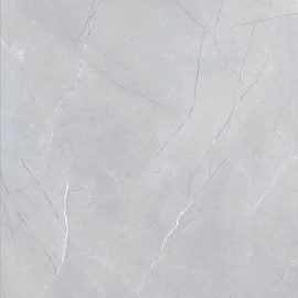 OYSTER SILVER