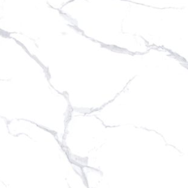 POLARIS WHITE