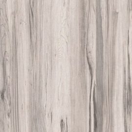 FOREST SAND
