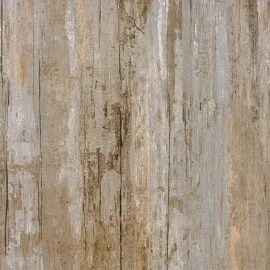 NEBRASKA TUNDRA